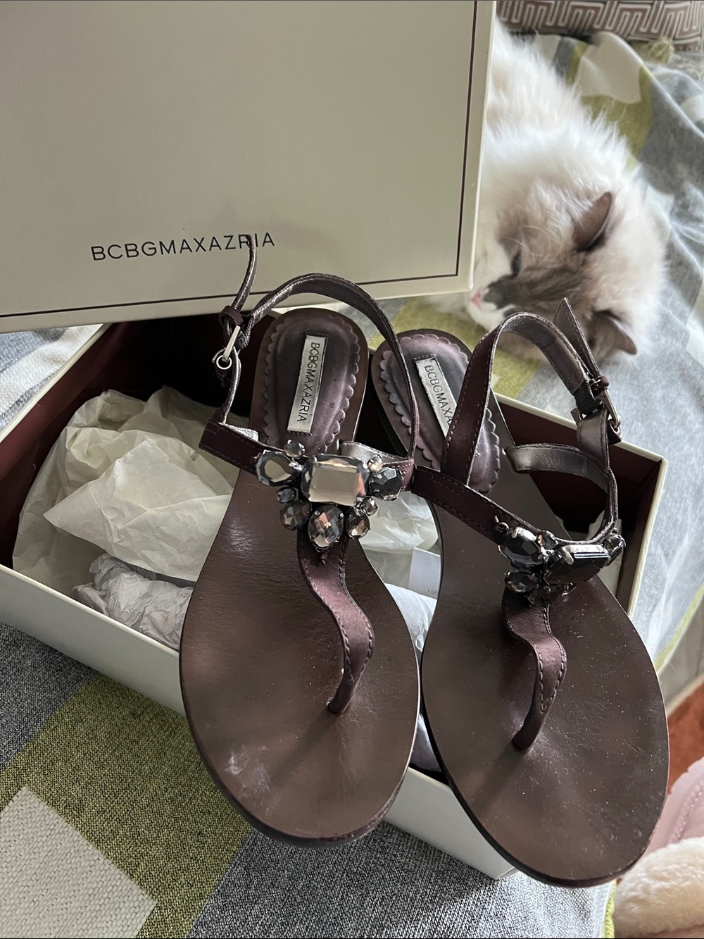 BCBGMaxAzria Brown Jeweled T-Strap Sandals